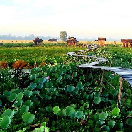 Viet Mekong Farmstay Tràm Chim Zewnętrze zdjęcie