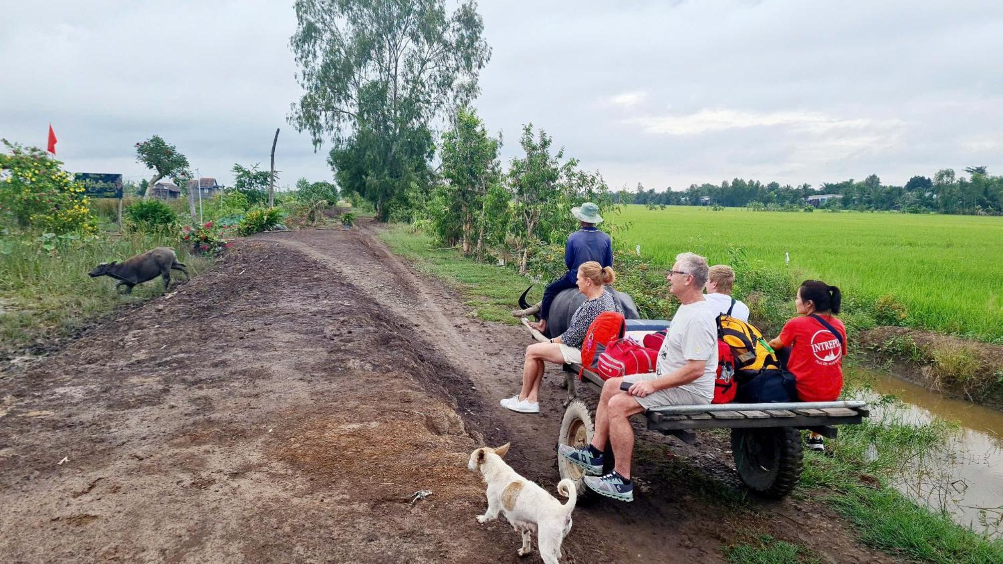 Viet Mekong Farmstay Tràm Chim Zewnętrze zdjęcie