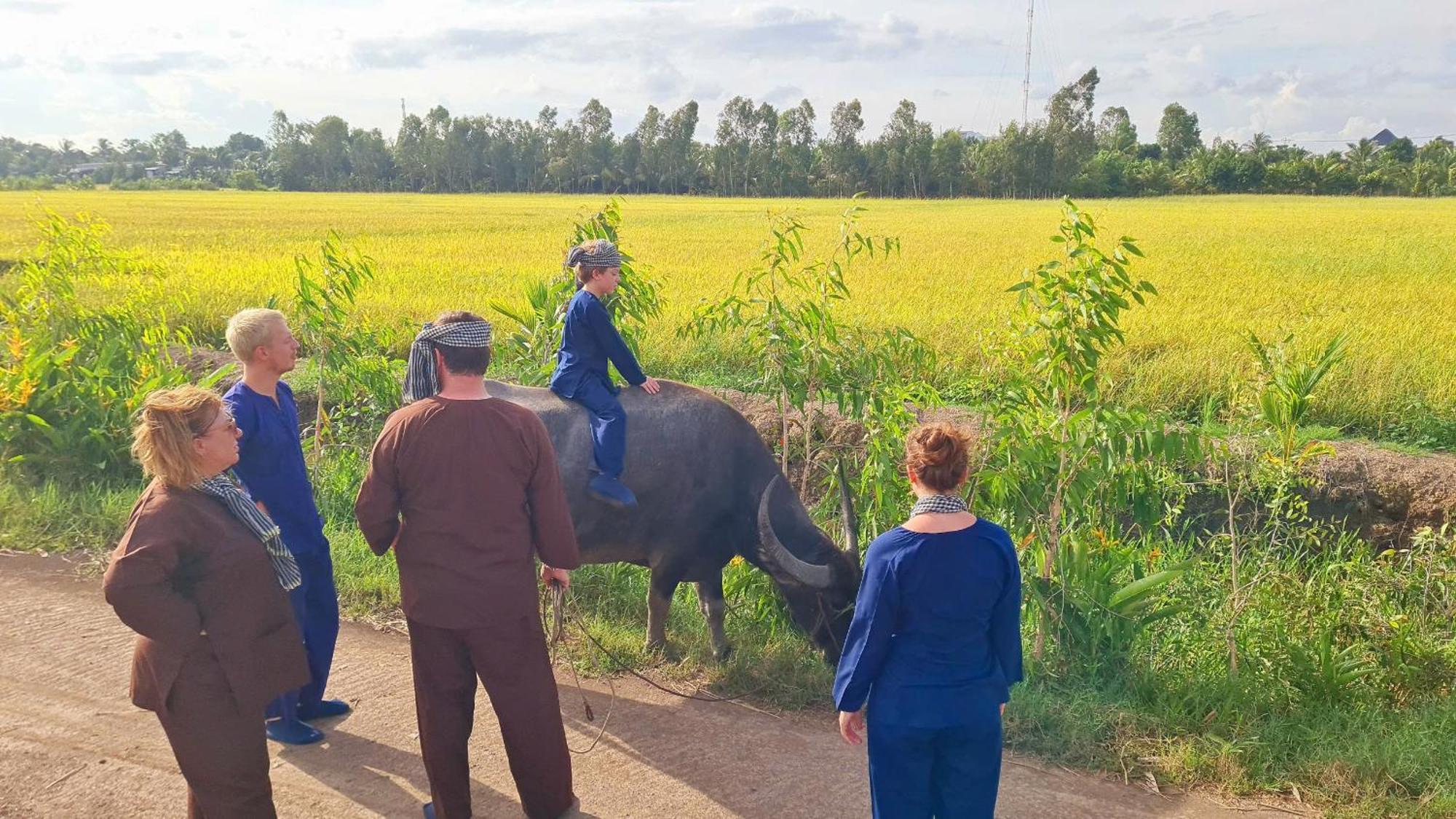 Viet Mekong Farmstay Tràm Chim Zewnętrze zdjęcie